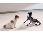 小米发布全新 CyberDog 2：更仿生、更智能、更开放